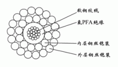 WGSPFA-8.00mm單芯氟塑料PFA絕緣雙鋼絲鎧裝承荷探測(cè)電纜