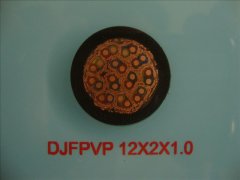 計(jì)算機(jī)電纜DJFPVP-12*2*1.0