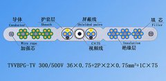 扁平絞合型排列帶屏蔽、鋼芯和視頻線電梯電纜