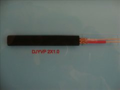 DJYVP 2*1.0計算機(jī)屏蔽電纜