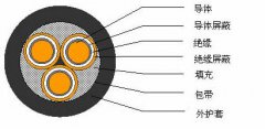 3*2.5，3*3，3*4，3*6，3*10，3*16，3*25屏蔽電纜結(jié)構(gòu)圖