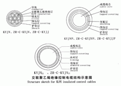 KYJV，KYJVP，KYJV22額定電壓0.6/1kV交聯(lián)聚乙烯絕緣控制電纜