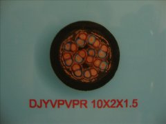 DJYVPVPR 0.3/0.5KV 10*2*1.5 計算機屏蔽電纜