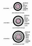 PTYA23、PTYA22鐵路鎧裝信號電纜